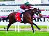 Arrowfield