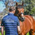 Coolmore stars on the rise